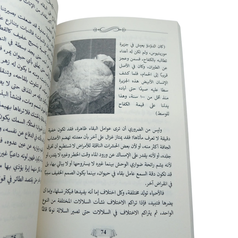 نظرية التطور وأصل الإنسان