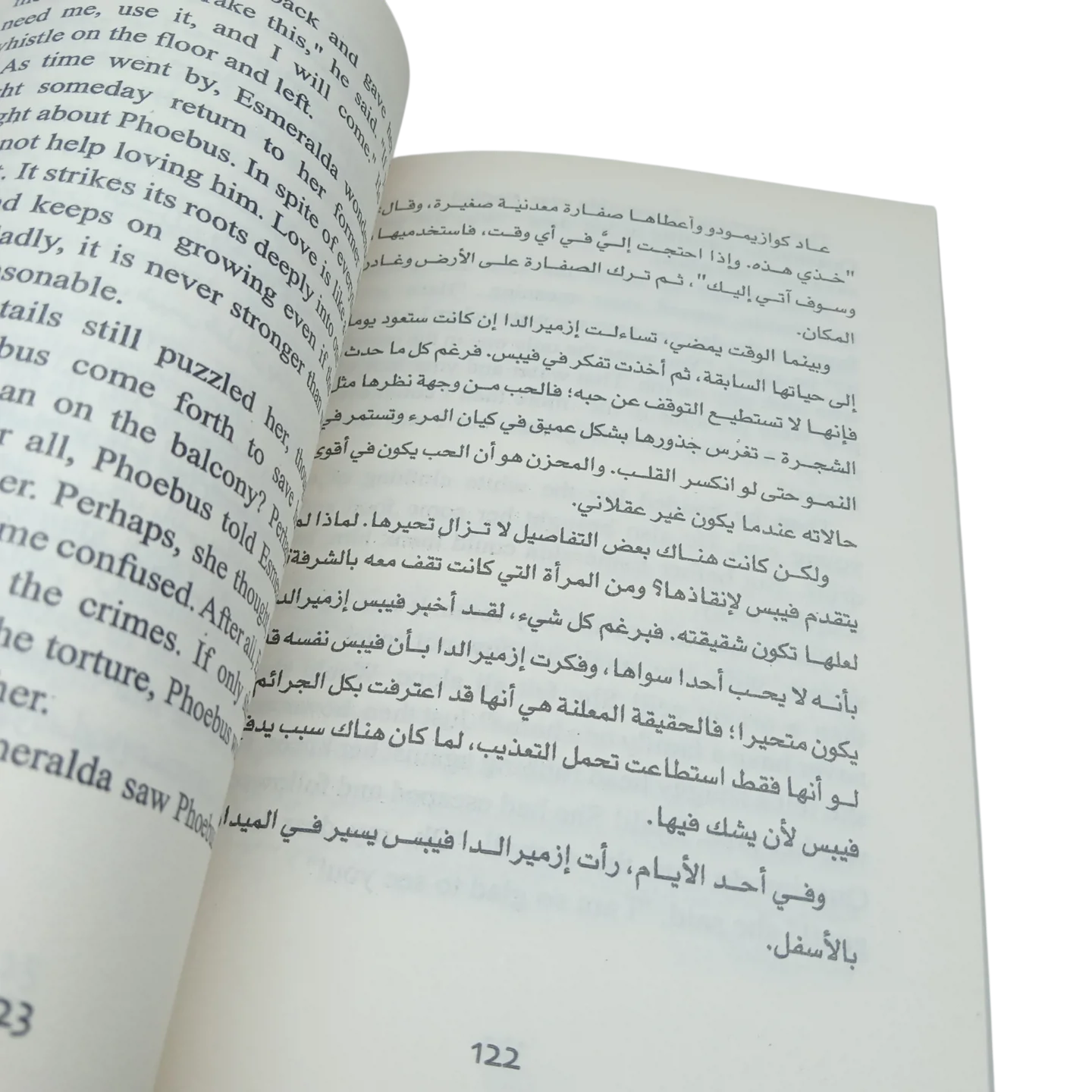 أحدب نوتردام - عربى انجليزي