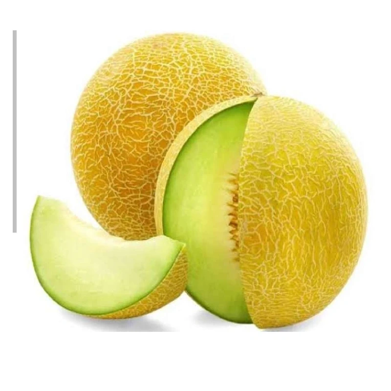 كانتلوب (1 كيلو)