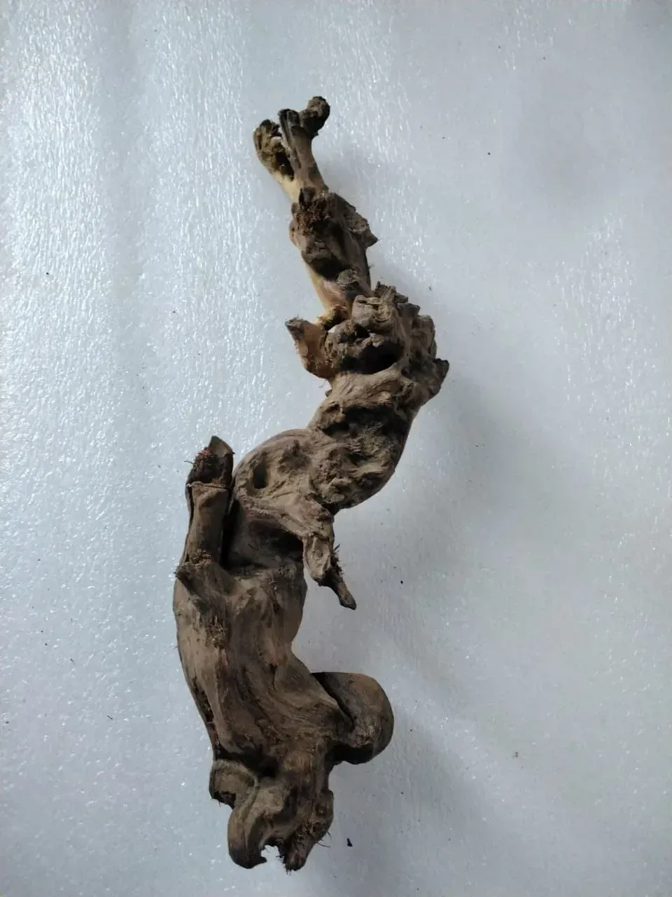 جذع خشبي 35 سم لحوض السمك