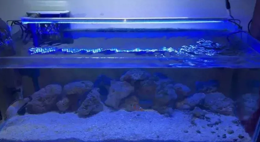 كشاف ازرق جلو لايت لحوض السمك - 90سم