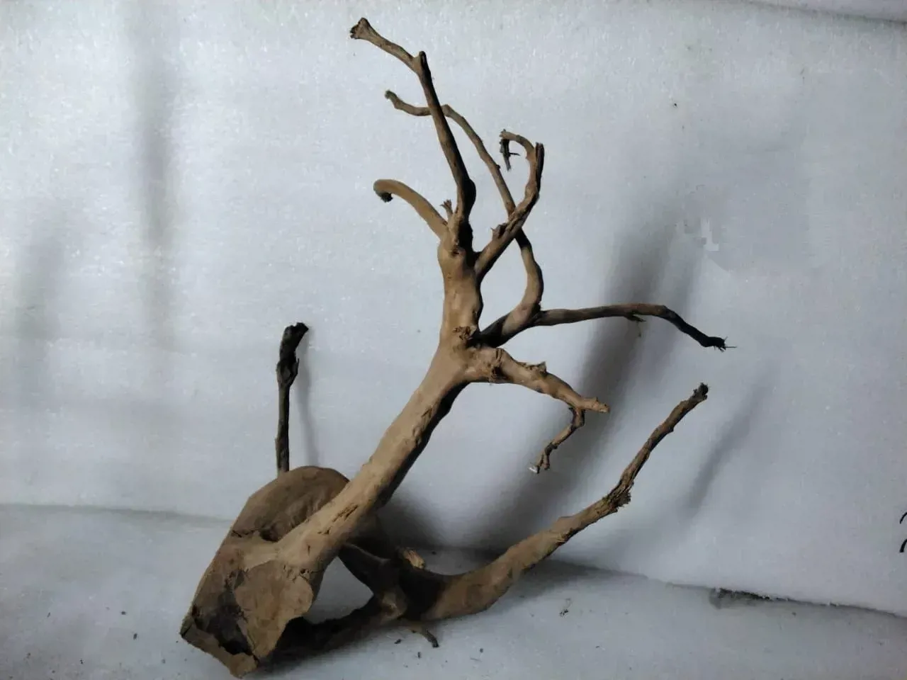 جذع خشبي 50 سم لحوض السمك