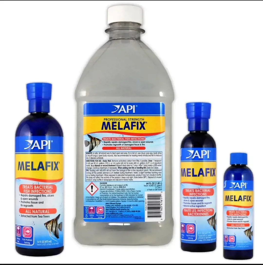  علاج الالتهابات البكتيرية للأسماك