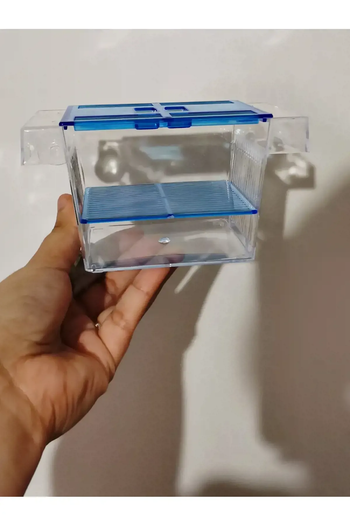 حضانة 2 عين للاسماك