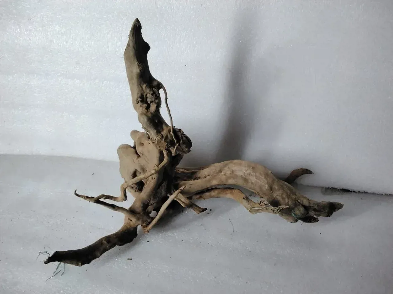 جذع خشب لتزيين حوض السمك - 50 سم