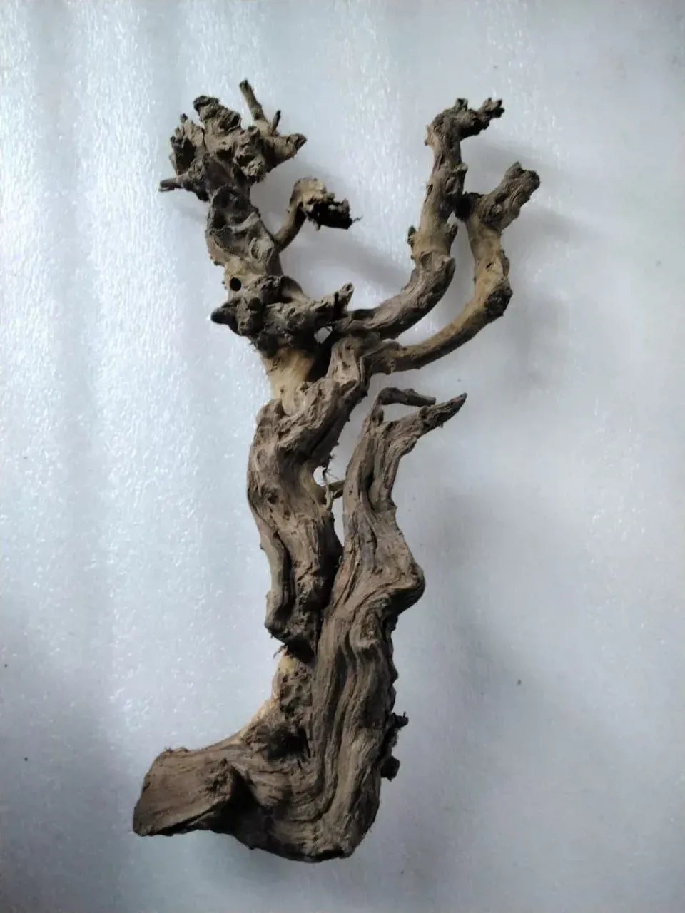 جذع خشب لتزيين حوض السمك - 40سم