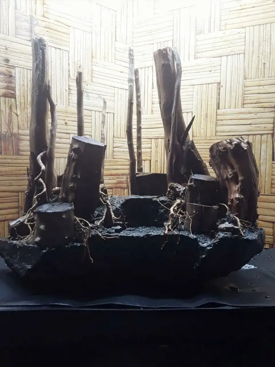 حوض 30 سم بالكشاف والفلتر والاسكيب