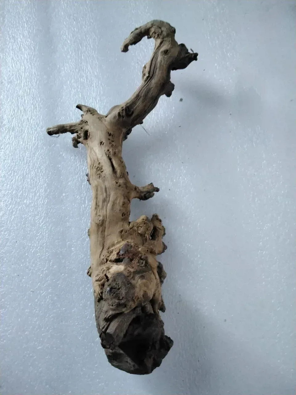 Gallery image 1