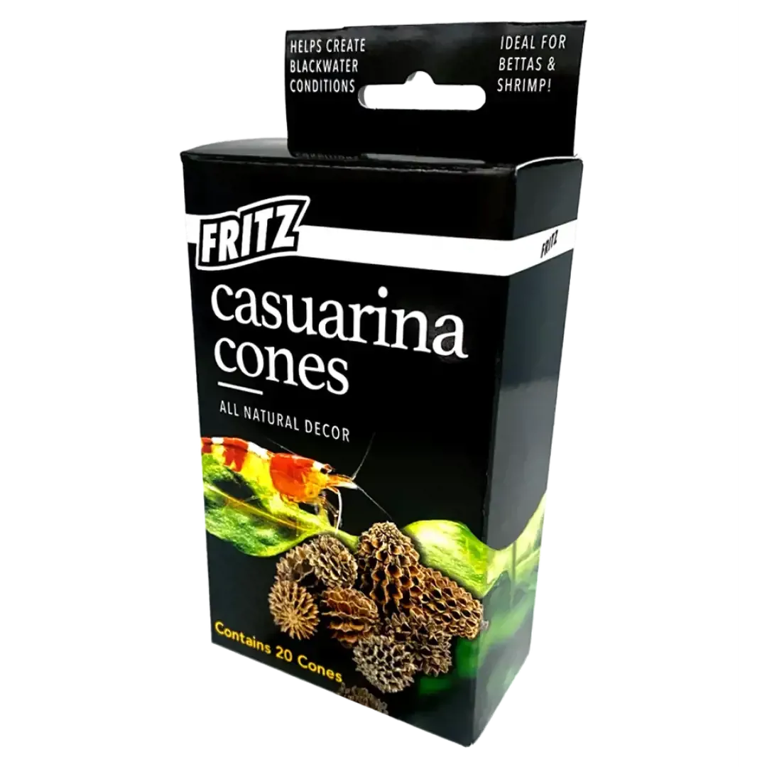مخاريط كاسوارينا لتزيين أحواض السمك