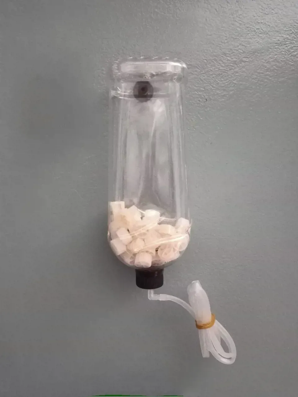 فلتر K1 للوصول لأفضل نقاء لحوض السمك