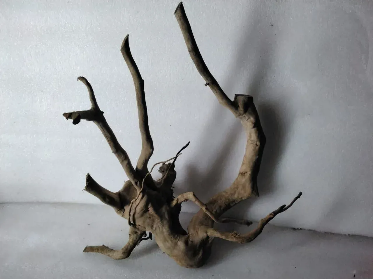 Gallery image 1