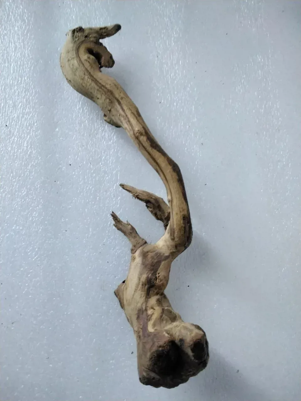 جذع خشب لتزيين حوض السمك - 30سم