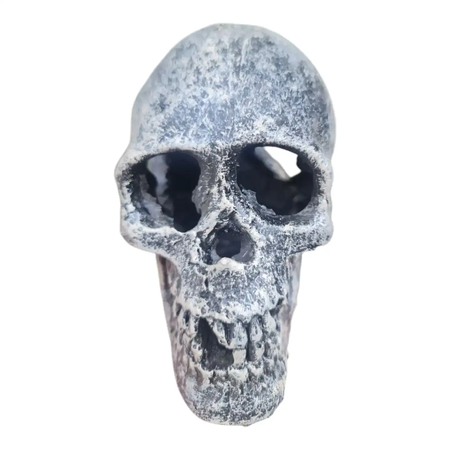 جمجمة ديكور لحوض السمك