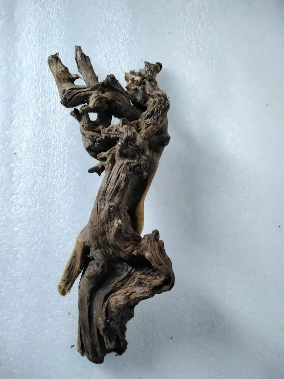 Gallery image 1