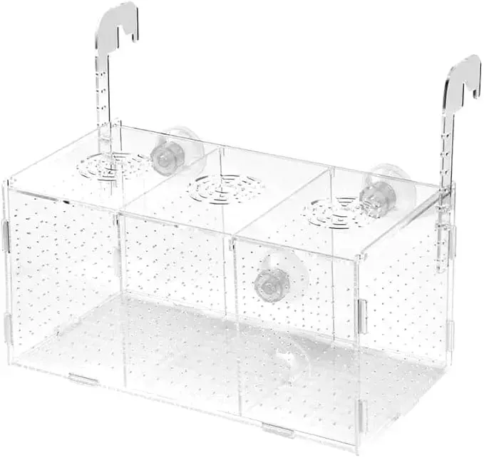 حوض اكريليك لتربية الأسماك ( 3 عين)