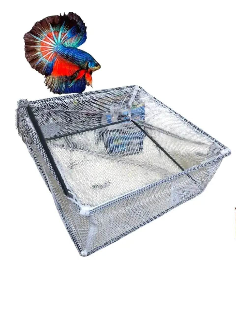 حضانة لتفريخ الأسماك ( الجوبي والمولي والسورد والبلاتي)