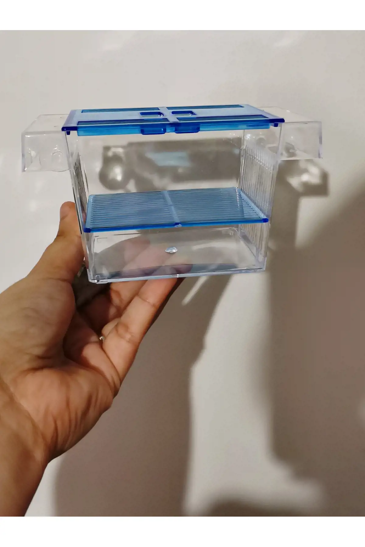 حضانة 2 عين للاسماك