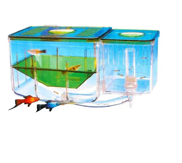 التفريخ التلقائي والحضانة المائية لتربية أسماك