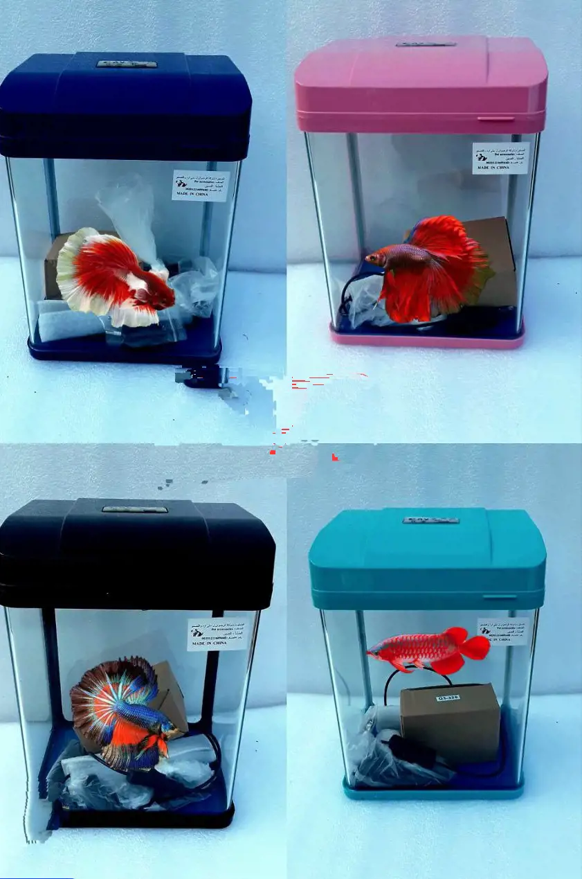 حوض أسماك كامري بالنور والفلتر