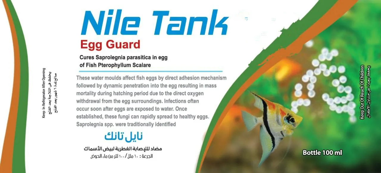 مضاد فطري لعلاج بيض أسماك الأنجل من Nile Tank