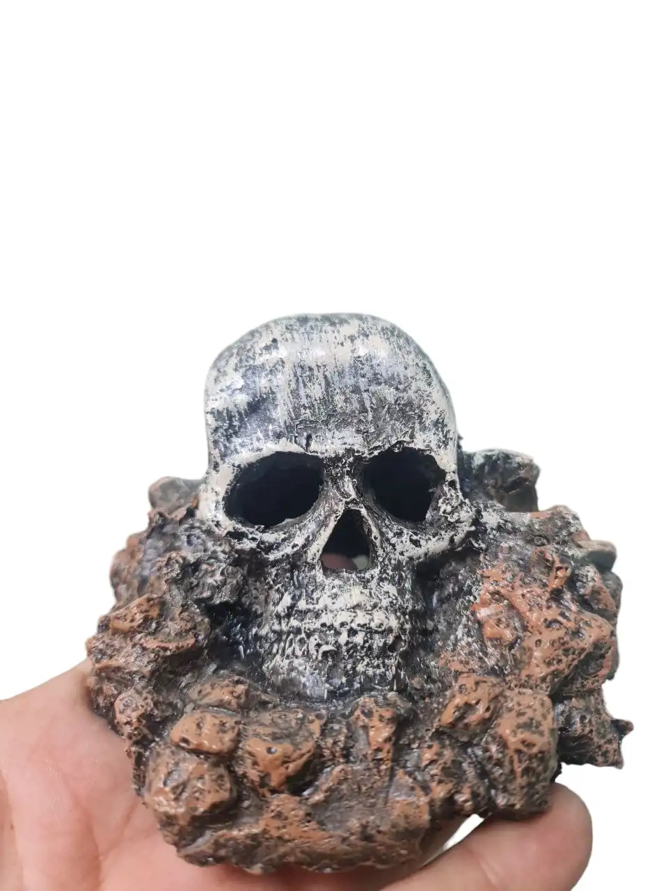 مجسم لجمجمة صخرية