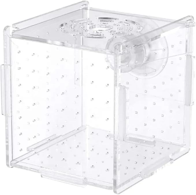 حوض سمك اكريليك