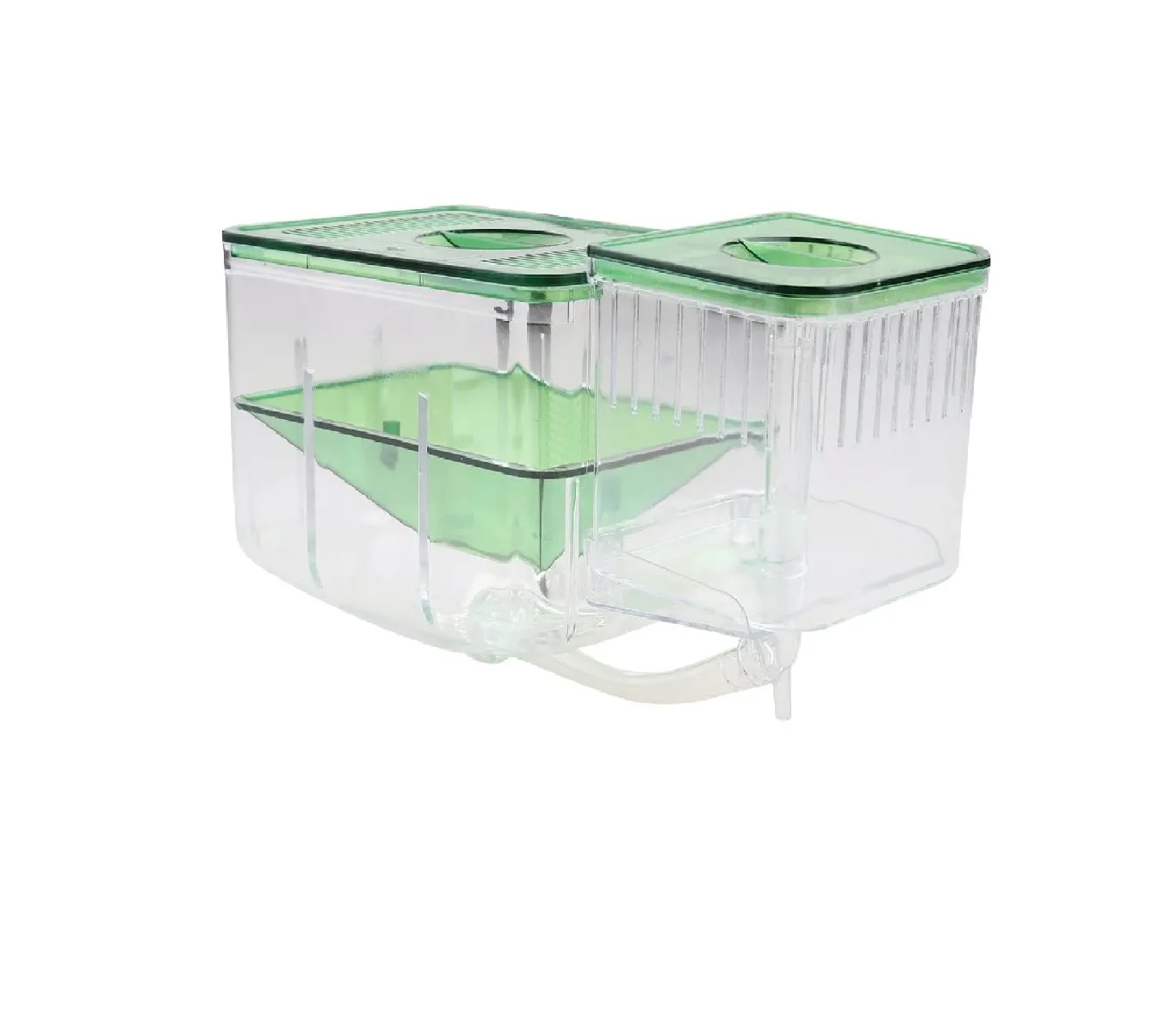 التفريخ التلقائي والحضانة المائية لتربية أسماك