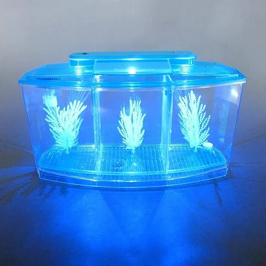 حوض فايتر مقسم 3 عيون بالإضاءة والديكور