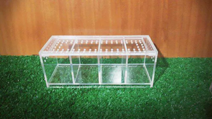 حوض اكريليك لتربية الأسماك 4 عين