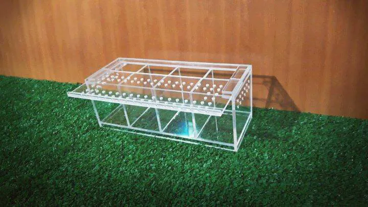 حوض اكريليك لتربية الأسماك 4 عين