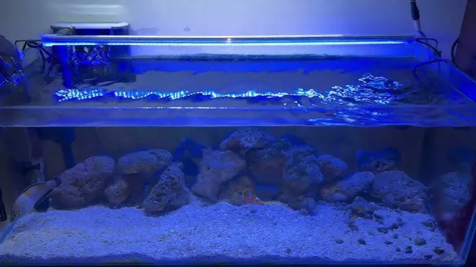 كشاف ازرق جلو لايت لحوض السمك -100سم