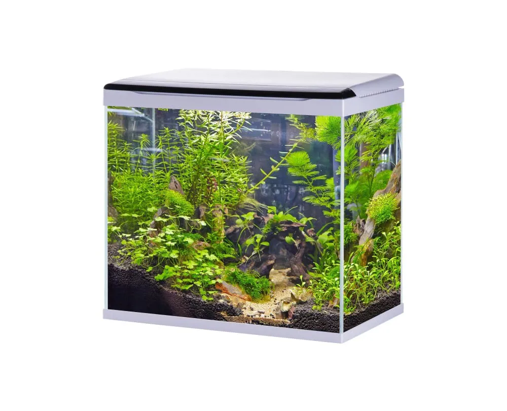 حوض أسماك كامري بالنور والفلتر 60 سم