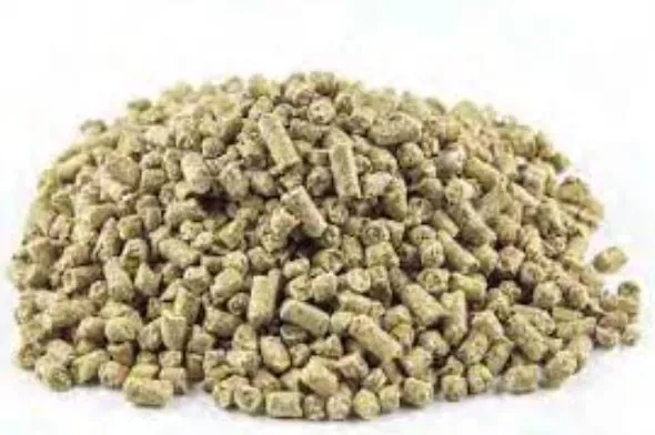 علف مصري يصلح لجميع أنواع السمك