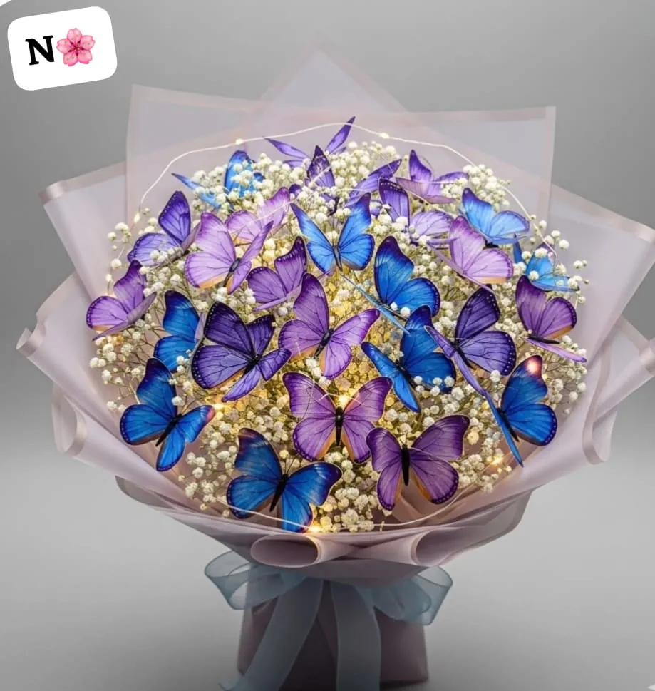 بوكيه فراشات 🩷✨