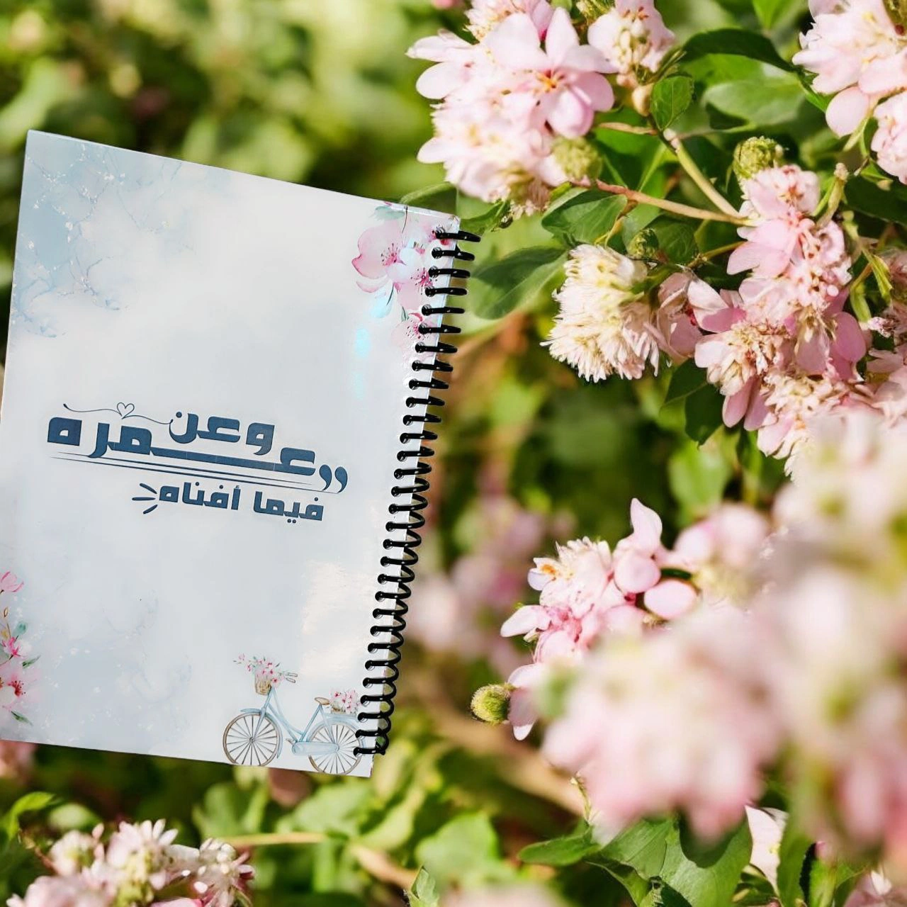 مخطط يومى(وعن عمره فيما أفناه) 